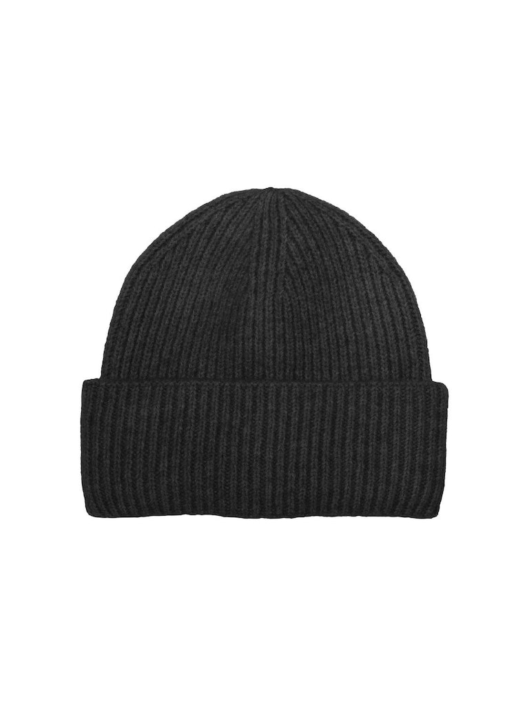 Only Beanie Everly