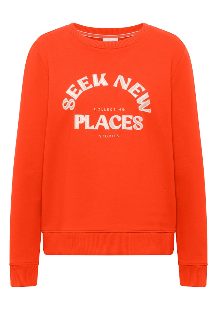 Sweatshirt mit Stickerei